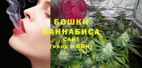 стаф Белокуриха