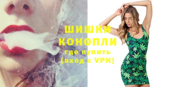 стаф Белокуриха