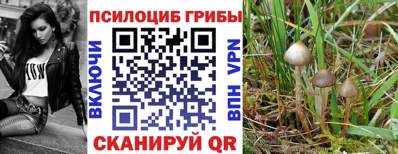 MEGA сайт  Кяхта  Псилоцибиновые грибы мухоморы 
